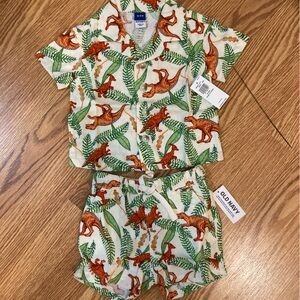 Baby Boy Matching Dinosaur Set